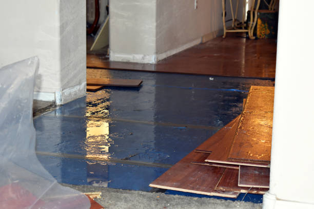 Professional Burst Pipe Cleanup technician working in Bailey Island, ME